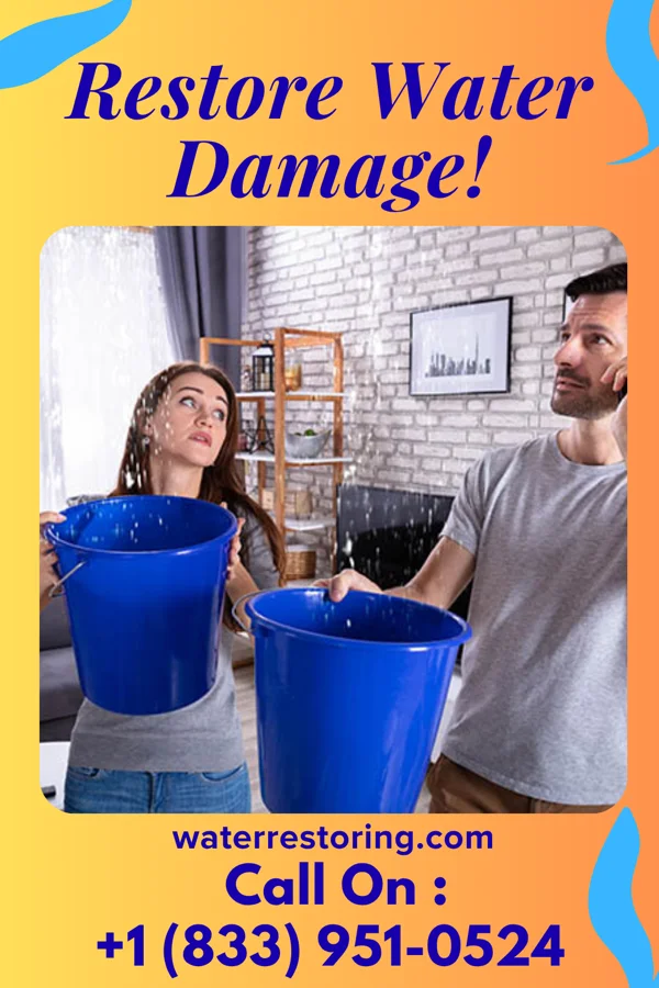 water restoration Titan Restoration Solutions Force Edgerton