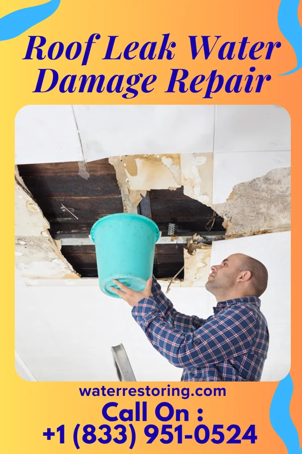 Roof Leak Water Damage Repair in Edgerton, MO
