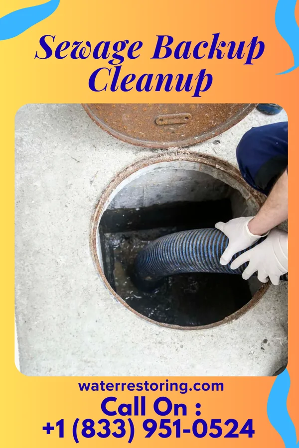 Sewage Backup Cleanup in Edgerton, MO