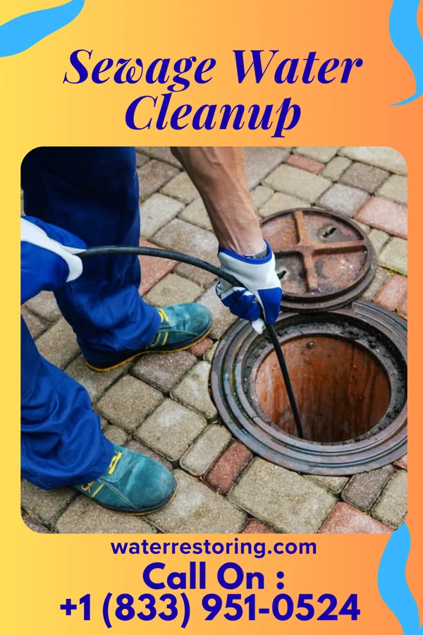 Sewage Water Cleanup in Edgerton, MO