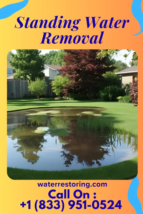 Standing Water Removal in Edgerton, MO